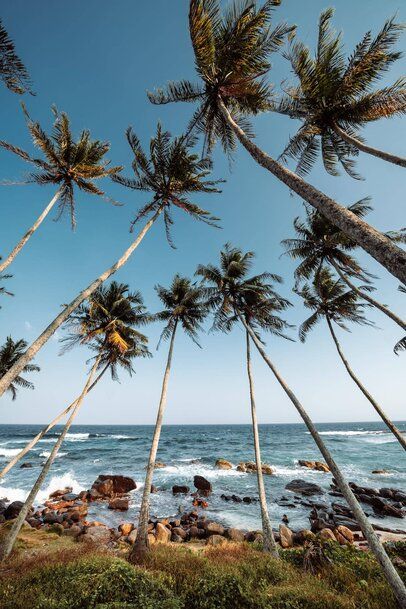 Mirissa