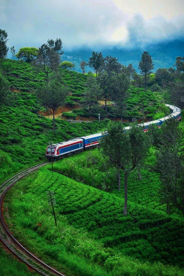 Nuwara Eliya